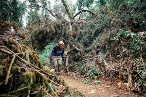 BIB: 
                            <button type="button" onclick="openModal(25464172)" class="btn btn-primary btn-sm float-right btn-popup" data-toggle="modal" data-target=".modal-high-quality">
                        <i class="fas fa-shopping-cart"></i> Add to Cart
                    </button>
                                            <button type="button" onclick="isThisMe(25464172, true)" class="btn btn-success btn-sm float-right btn-popup btn-isme hidden" data-toggle="tooltip" data-placement="bottom" title="นี่คือรูปของคุณใช่ไหม คลิกที่นี่เพื่อเอาเข้าอัลบั้ม">
                        <i class="fas fa-plus"></i> Add to album
                    </button>
                    <button type="button" onclick="isThisMe(25464172, false)" class="btn btn-warning btn-sm float-right btn-popup btn-isnotme hidden">
                        <i class="fas fa-ban"></i> Remove from album
                    </button>