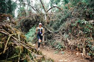 BIB: 
                            <button type="button" onclick="openModal(25524694)" class="btn btn-primary btn-sm float-right btn-popup" data-toggle="modal" data-target=".modal-high-quality">
                        <i class="fas fa-shopping-cart"></i> Add to Cart
                    </button>
                                            <button type="button" onclick="isThisMe(25524694, true)" class="btn btn-success btn-sm float-right btn-popup btn-isme hidden" data-toggle="tooltip" data-placement="bottom" title="นี่คือรูปของคุณใช่ไหม คลิกที่นี่เพื่อเอาเข้าอัลบั้ม">
                        <i class="fas fa-plus"></i> Add to album
                    </button>
                    <button type="button" onclick="isThisMe(25524694, false)" class="btn btn-warning btn-sm float-right btn-popup btn-isnotme hidden">
                        <i class="fas fa-ban"></i> Remove from album
                    </button>