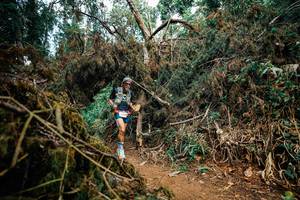 BIB: 
                            <button type="button" onclick="openModal(25474413)" class="btn btn-primary btn-sm float-right btn-popup" data-toggle="modal" data-target=".modal-high-quality">
                        <i class="fas fa-shopping-cart"></i> Add to Cart
                    </button>
                                            <button type="button" onclick="isThisMe(25474413, true)" class="btn btn-success btn-sm float-right btn-popup btn-isme hidden" data-toggle="tooltip" data-placement="bottom" title="นี่คือรูปของคุณใช่ไหม คลิกที่นี่เพื่อเอาเข้าอัลบั้ม">
                        <i class="fas fa-plus"></i> Add to album
                    </button>
                    <button type="button" onclick="isThisMe(25474413, false)" class="btn btn-warning btn-sm float-right btn-popup btn-isnotme hidden">
                        <i class="fas fa-ban"></i> Remove from album
                    </button>