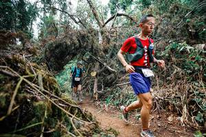 BIB: 
                            <button type="button" onclick="openModal(25554392)" class="btn btn-primary btn-sm float-right btn-popup" data-toggle="modal" data-target=".modal-high-quality">
                        <i class="fas fa-shopping-cart"></i> Add to Cart
                    </button>
                                            <button type="button" onclick="isThisMe(25554392, true)" class="btn btn-success btn-sm float-right btn-popup btn-isme hidden" data-toggle="tooltip" data-placement="bottom" title="นี่คือรูปของคุณใช่ไหม คลิกที่นี่เพื่อเอาเข้าอัลบั้ม">
                        <i class="fas fa-plus"></i> Add to album
                    </button>
                    <button type="button" onclick="isThisMe(25554392, false)" class="btn btn-warning btn-sm float-right btn-popup btn-isnotme hidden">
                        <i class="fas fa-ban"></i> Remove from album
                    </button>