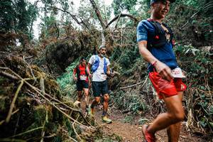 BIB: 
                            <button type="button" onclick="openModal(25527893)" class="btn btn-primary btn-sm float-right btn-popup" data-toggle="modal" data-target=".modal-high-quality">
                        <i class="fas fa-shopping-cart"></i> Add to Cart
                    </button>
                                            <button type="button" onclick="isThisMe(25527893, true)" class="btn btn-success btn-sm float-right btn-popup btn-isme hidden" data-toggle="tooltip" data-placement="bottom" title="นี่คือรูปของคุณใช่ไหม คลิกที่นี่เพื่อเอาเข้าอัลบั้ม">
                        <i class="fas fa-plus"></i> Add to album
                    </button>
                    <button type="button" onclick="isThisMe(25527893, false)" class="btn btn-warning btn-sm float-right btn-popup btn-isnotme hidden">
                        <i class="fas fa-ban"></i> Remove from album
                    </button>