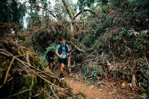 BIB: 
                            <button type="button" onclick="openModal(25475641)" class="btn btn-primary btn-sm float-right btn-popup" data-toggle="modal" data-target=".modal-high-quality">
                        <i class="fas fa-shopping-cart"></i> Add to Cart
                    </button>
                                            <button type="button" onclick="isThisMe(25475641, true)" class="btn btn-success btn-sm float-right btn-popup btn-isme hidden" data-toggle="tooltip" data-placement="bottom" title="นี่คือรูปของคุณใช่ไหม คลิกที่นี่เพื่อเอาเข้าอัลบั้ม">
                        <i class="fas fa-plus"></i> Add to album
                    </button>
                    <button type="button" onclick="isThisMe(25475641, false)" class="btn btn-warning btn-sm float-right btn-popup btn-isnotme hidden">
                        <i class="fas fa-ban"></i> Remove from album
                    </button>