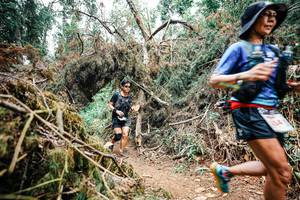 BIB: 
                            <button type="button" onclick="openModal(25525999)" class="btn btn-primary btn-sm float-right btn-popup" data-toggle="modal" data-target=".modal-high-quality">
                        <i class="fas fa-shopping-cart"></i> Add to Cart
                    </button>
                                            <button type="button" onclick="isThisMe(25525999, true)" class="btn btn-success btn-sm float-right btn-popup btn-isme hidden" data-toggle="tooltip" data-placement="bottom" title="นี่คือรูปของคุณใช่ไหม คลิกที่นี่เพื่อเอาเข้าอัลบั้ม">
                        <i class="fas fa-plus"></i> Add to album
                    </button>
                    <button type="button" onclick="isThisMe(25525999, false)" class="btn btn-warning btn-sm float-right btn-popup btn-isnotme hidden">
                        <i class="fas fa-ban"></i> Remove from album
                    </button>