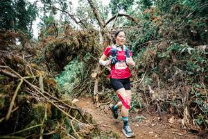 BIB: 
                            <button type="button" onclick="openModal(25528199)" class="btn btn-primary btn-sm float-right btn-popup" data-toggle="modal" data-target=".modal-high-quality">
                        <i class="fas fa-shopping-cart"></i> Add to Cart
                    </button>
                                            <button type="button" onclick="isThisMe(25528199, true)" class="btn btn-success btn-sm float-right btn-popup btn-isme hidden" data-toggle="tooltip" data-placement="bottom" title="นี่คือรูปของคุณใช่ไหม คลิกที่นี่เพื่อเอาเข้าอัลบั้ม">
                        <i class="fas fa-plus"></i> Add to album
                    </button>
                    <button type="button" onclick="isThisMe(25528199, false)" class="btn btn-warning btn-sm float-right btn-popup btn-isnotme hidden">
                        <i class="fas fa-ban"></i> Remove from album
                    </button>