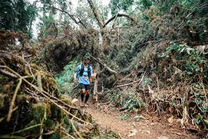 BIB: 
                            <button type="button" onclick="openModal(25519398)" class="btn btn-primary btn-sm float-right btn-popup" data-toggle="modal" data-target=".modal-high-quality">
                        <i class="fas fa-shopping-cart"></i> Add to Cart
                    </button>
                                            <button type="button" onclick="isThisMe(25519398, true)" class="btn btn-success btn-sm float-right btn-popup btn-isme hidden" data-toggle="tooltip" data-placement="bottom" title="นี่คือรูปของคุณใช่ไหม คลิกที่นี่เพื่อเอาเข้าอัลบั้ม">
                        <i class="fas fa-plus"></i> Add to album
                    </button>
                    <button type="button" onclick="isThisMe(25519398, false)" class="btn btn-warning btn-sm float-right btn-popup btn-isnotme hidden">
                        <i class="fas fa-ban"></i> Remove from album
                    </button>