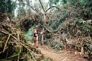 BIB: 
                            <button type="button" onclick="openModal(25526889)" class="btn btn-primary btn-sm float-right btn-popup" data-toggle="modal" data-target=".modal-high-quality">
                        <i class="fas fa-shopping-cart"></i> Add to Cart
                    </button>
                                            <button type="button" onclick="isThisMe(25526889, true)" class="btn btn-success btn-sm float-right btn-popup btn-isme hidden" data-toggle="tooltip" data-placement="bottom" title="นี่คือรูปของคุณใช่ไหม คลิกที่นี่เพื่อเอาเข้าอัลบั้ม">
                        <i class="fas fa-plus"></i> Add to album
                    </button>
                    <button type="button" onclick="isThisMe(25526889, false)" class="btn btn-warning btn-sm float-right btn-popup btn-isnotme hidden">
                        <i class="fas fa-ban"></i> Remove from album
                    </button>