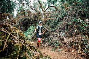 BIB: 
                            <button type="button" onclick="openModal(25528333)" class="btn btn-primary btn-sm float-right btn-popup" data-toggle="modal" data-target=".modal-high-quality">
                        <i class="fas fa-shopping-cart"></i> Add to Cart
                    </button>
                                            <button type="button" onclick="isThisMe(25528333, true)" class="btn btn-success btn-sm float-right btn-popup btn-isme hidden" data-toggle="tooltip" data-placement="bottom" title="นี่คือรูปของคุณใช่ไหม คลิกที่นี่เพื่อเอาเข้าอัลบั้ม">
                        <i class="fas fa-plus"></i> Add to album
                    </button>
                    <button type="button" onclick="isThisMe(25528333, false)" class="btn btn-warning btn-sm float-right btn-popup btn-isnotme hidden">
                        <i class="fas fa-ban"></i> Remove from album
                    </button>