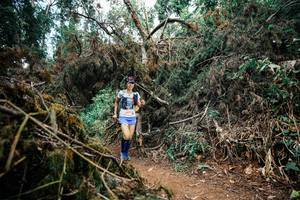 BIB: 
                            <button type="button" onclick="openModal(25479523)" class="btn btn-primary btn-sm float-right btn-popup" data-toggle="modal" data-target=".modal-high-quality">
                        <i class="fas fa-shopping-cart"></i> Add to Cart
                    </button>
                                            <button type="button" onclick="isThisMe(25479523, true)" class="btn btn-success btn-sm float-right btn-popup btn-isme hidden" data-toggle="tooltip" data-placement="bottom" title="นี่คือรูปของคุณใช่ไหม คลิกที่นี่เพื่อเอาเข้าอัลบั้ม">
                        <i class="fas fa-plus"></i> Add to album
                    </button>
                    <button type="button" onclick="isThisMe(25479523, false)" class="btn btn-warning btn-sm float-right btn-popup btn-isnotme hidden">
                        <i class="fas fa-ban"></i> Remove from album
                    </button>