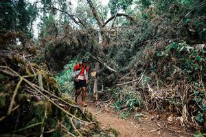 BIB: 
                            <button type="button" onclick="openModal(25471014)" class="btn btn-primary btn-sm float-right btn-popup" data-toggle="modal" data-target=".modal-high-quality">
                        <i class="fas fa-shopping-cart"></i> Add to Cart
                    </button>
                                            <button type="button" onclick="isThisMe(25471014, true)" class="btn btn-success btn-sm float-right btn-popup btn-isme hidden" data-toggle="tooltip" data-placement="bottom" title="นี่คือรูปของคุณใช่ไหม คลิกที่นี่เพื่อเอาเข้าอัลบั้ม">
                        <i class="fas fa-plus"></i> Add to album
                    </button>
                    <button type="button" onclick="isThisMe(25471014, false)" class="btn btn-warning btn-sm float-right btn-popup btn-isnotme hidden">
                        <i class="fas fa-ban"></i> Remove from album
                    </button>