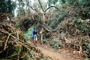 BIB: 
                            <button type="button" onclick="openModal(25549169)" class="btn btn-primary btn-sm float-right btn-popup" data-toggle="modal" data-target=".modal-high-quality">
                        <i class="fas fa-shopping-cart"></i> Add to Cart
                    </button>
                                            <button type="button" onclick="isThisMe(25549169, true)" class="btn btn-success btn-sm float-right btn-popup btn-isme hidden" data-toggle="tooltip" data-placement="bottom" title="นี่คือรูปของคุณใช่ไหม คลิกที่นี่เพื่อเอาเข้าอัลบั้ม">
                        <i class="fas fa-plus"></i> Add to album
                    </button>
                    <button type="button" onclick="isThisMe(25549169, false)" class="btn btn-warning btn-sm float-right btn-popup btn-isnotme hidden">
                        <i class="fas fa-ban"></i> Remove from album
                    </button>