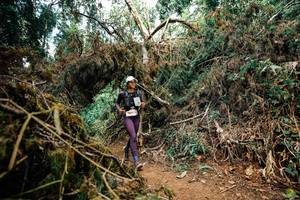 BIB: 
                            <button type="button" onclick="openModal(25475303)" class="btn btn-primary btn-sm float-right btn-popup" data-toggle="modal" data-target=".modal-high-quality">
                        <i class="fas fa-shopping-cart"></i> Add to Cart
                    </button>
                                            <button type="button" onclick="isThisMe(25475303, true)" class="btn btn-success btn-sm float-right btn-popup btn-isme hidden" data-toggle="tooltip" data-placement="bottom" title="นี่คือรูปของคุณใช่ไหม คลิกที่นี่เพื่อเอาเข้าอัลบั้ม">
                        <i class="fas fa-plus"></i> Add to album
                    </button>
                    <button type="button" onclick="isThisMe(25475303, false)" class="btn btn-warning btn-sm float-right btn-popup btn-isnotme hidden">
                        <i class="fas fa-ban"></i> Remove from album
                    </button>