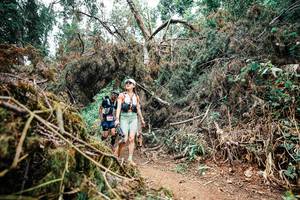 BIB: 
                            <button type="button" onclick="openModal(25549440)" class="btn btn-primary btn-sm float-right btn-popup" data-toggle="modal" data-target=".modal-high-quality">
                        <i class="fas fa-shopping-cart"></i> Add to Cart
                    </button>
                                            <button type="button" onclick="isThisMe(25549440, true)" class="btn btn-success btn-sm float-right btn-popup btn-isme hidden" data-toggle="tooltip" data-placement="bottom" title="นี่คือรูปของคุณใช่ไหม คลิกที่นี่เพื่อเอาเข้าอัลบั้ม">
                        <i class="fas fa-plus"></i> Add to album
                    </button>
                    <button type="button" onclick="isThisMe(25549440, false)" class="btn btn-warning btn-sm float-right btn-popup btn-isnotme hidden">
                        <i class="fas fa-ban"></i> Remove from album
                    </button>