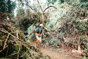 BIB: 
                            <button type="button" onclick="openModal(25553082)" class="btn btn-primary btn-sm float-right btn-popup" data-toggle="modal" data-target=".modal-high-quality">
                        <i class="fas fa-shopping-cart"></i> Add to Cart
                    </button>
                                            <button type="button" onclick="isThisMe(25553082, true)" class="btn btn-success btn-sm float-right btn-popup btn-isme hidden" data-toggle="tooltip" data-placement="bottom" title="นี่คือรูปของคุณใช่ไหม คลิกที่นี่เพื่อเอาเข้าอัลบั้ม">
                        <i class="fas fa-plus"></i> Add to album
                    </button>
                    <button type="button" onclick="isThisMe(25553082, false)" class="btn btn-warning btn-sm float-right btn-popup btn-isnotme hidden">
                        <i class="fas fa-ban"></i> Remove from album
                    </button>