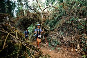 BIB: 
                            <button type="button" onclick="openModal(25475256)" class="btn btn-primary btn-sm float-right btn-popup" data-toggle="modal" data-target=".modal-high-quality">
                        <i class="fas fa-shopping-cart"></i> Add to Cart
                    </button>
                                            <button type="button" onclick="isThisMe(25475256, true)" class="btn btn-success btn-sm float-right btn-popup btn-isme hidden" data-toggle="tooltip" data-placement="bottom" title="นี่คือรูปของคุณใช่ไหม คลิกที่นี่เพื่อเอาเข้าอัลบั้ม">
                        <i class="fas fa-plus"></i> Add to album
                    </button>
                    <button type="button" onclick="isThisMe(25475256, false)" class="btn btn-warning btn-sm float-right btn-popup btn-isnotme hidden">
                        <i class="fas fa-ban"></i> Remove from album
                    </button>