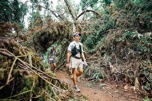 BIB: 
                            <button type="button" onclick="openModal(25549701)" class="btn btn-primary btn-sm float-right btn-popup" data-toggle="modal" data-target=".modal-high-quality">
                        <i class="fas fa-shopping-cart"></i> Add to Cart
                    </button>
                                            <button type="button" onclick="isThisMe(25549701, true)" class="btn btn-success btn-sm float-right btn-popup btn-isme hidden" data-toggle="tooltip" data-placement="bottom" title="นี่คือรูปของคุณใช่ไหม คลิกที่นี่เพื่อเอาเข้าอัลบั้ม">
                        <i class="fas fa-plus"></i> Add to album
                    </button>
                    <button type="button" onclick="isThisMe(25549701, false)" class="btn btn-warning btn-sm float-right btn-popup btn-isnotme hidden">
                        <i class="fas fa-ban"></i> Remove from album
                    </button>