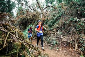 BIB: 
                            <button type="button" onclick="openModal(25545769)" class="btn btn-primary btn-sm float-right btn-popup" data-toggle="modal" data-target=".modal-high-quality">
                        <i class="fas fa-shopping-cart"></i> Add to Cart
                    </button>
                                            <button type="button" onclick="isThisMe(25545769, true)" class="btn btn-success btn-sm float-right btn-popup btn-isme hidden" data-toggle="tooltip" data-placement="bottom" title="นี่คือรูปของคุณใช่ไหม คลิกที่นี่เพื่อเอาเข้าอัลบั้ม">
                        <i class="fas fa-plus"></i> Add to album
                    </button>
                    <button type="button" onclick="isThisMe(25545769, false)" class="btn btn-warning btn-sm float-right btn-popup btn-isnotme hidden">
                        <i class="fas fa-ban"></i> Remove from album
                    </button>