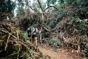 BIB: 
                            <button type="button" onclick="openModal(25543265)" class="btn btn-primary btn-sm float-right btn-popup" data-toggle="modal" data-target=".modal-high-quality">
                        <i class="fas fa-shopping-cart"></i> Add to Cart
                    </button>
                                            <button type="button" onclick="isThisMe(25543265, true)" class="btn btn-success btn-sm float-right btn-popup btn-isme hidden" data-toggle="tooltip" data-placement="bottom" title="นี่คือรูปของคุณใช่ไหม คลิกที่นี่เพื่อเอาเข้าอัลบั้ม">
                        <i class="fas fa-plus"></i> Add to album
                    </button>
                    <button type="button" onclick="isThisMe(25543265, false)" class="btn btn-warning btn-sm float-right btn-popup btn-isnotme hidden">
                        <i class="fas fa-ban"></i> Remove from album
                    </button>