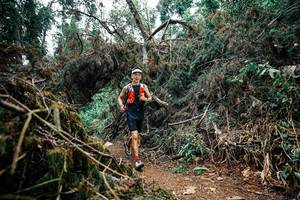 BIB: 
                            <button type="button" onclick="openModal(25464875)" class="btn btn-primary btn-sm float-right btn-popup" data-toggle="modal" data-target=".modal-high-quality">
                        <i class="fas fa-shopping-cart"></i> Add to Cart
                    </button>
                                            <button type="button" onclick="isThisMe(25464875, true)" class="btn btn-success btn-sm float-right btn-popup btn-isme hidden" data-toggle="tooltip" data-placement="bottom" title="นี่คือรูปของคุณใช่ไหม คลิกที่นี่เพื่อเอาเข้าอัลบั้ม">
                        <i class="fas fa-plus"></i> Add to album
                    </button>
                    <button type="button" onclick="isThisMe(25464875, false)" class="btn btn-warning btn-sm float-right btn-popup btn-isnotme hidden">
                        <i class="fas fa-ban"></i> Remove from album
                    </button>