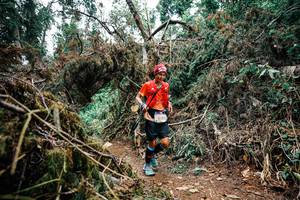 BIB: 
                            <button type="button" onclick="openModal(25455964)" class="btn btn-primary btn-sm float-right btn-popup" data-toggle="modal" data-target=".modal-high-quality">
                        <i class="fas fa-shopping-cart"></i> Add to Cart
                    </button>
                                            <button type="button" onclick="isThisMe(25455964, true)" class="btn btn-success btn-sm float-right btn-popup btn-isme hidden" data-toggle="tooltip" data-placement="bottom" title="นี่คือรูปของคุณใช่ไหม คลิกที่นี่เพื่อเอาเข้าอัลบั้ม">
                        <i class="fas fa-plus"></i> Add to album
                    </button>
                    <button type="button" onclick="isThisMe(25455964, false)" class="btn btn-warning btn-sm float-right btn-popup btn-isnotme hidden">
                        <i class="fas fa-ban"></i> Remove from album
                    </button>