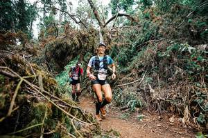 BIB: 
                            <button type="button" onclick="openModal(25550921)" class="btn btn-primary btn-sm float-right btn-popup" data-toggle="modal" data-target=".modal-high-quality">
                        <i class="fas fa-shopping-cart"></i> Add to Cart
                    </button>
                                            <button type="button" onclick="isThisMe(25550921, true)" class="btn btn-success btn-sm float-right btn-popup btn-isme hidden" data-toggle="tooltip" data-placement="bottom" title="นี่คือรูปของคุณใช่ไหม คลิกที่นี่เพื่อเอาเข้าอัลบั้ม">
                        <i class="fas fa-plus"></i> Add to album
                    </button>
                    <button type="button" onclick="isThisMe(25550921, false)" class="btn btn-warning btn-sm float-right btn-popup btn-isnotme hidden">
                        <i class="fas fa-ban"></i> Remove from album
                    </button>