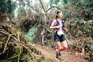 BIB: 
                            <button type="button" onclick="openModal(25525828)" class="btn btn-primary btn-sm float-right btn-popup" data-toggle="modal" data-target=".modal-high-quality">
                        <i class="fas fa-shopping-cart"></i> Add to Cart
                    </button>
                                            <button type="button" onclick="isThisMe(25525828, true)" class="btn btn-success btn-sm float-right btn-popup btn-isme hidden" data-toggle="tooltip" data-placement="bottom" title="นี่คือรูปของคุณใช่ไหม คลิกที่นี่เพื่อเอาเข้าอัลบั้ม">
                        <i class="fas fa-plus"></i> Add to album
                    </button>
                    <button type="button" onclick="isThisMe(25525828, false)" class="btn btn-warning btn-sm float-right btn-popup btn-isnotme hidden">
                        <i class="fas fa-ban"></i> Remove from album
                    </button>