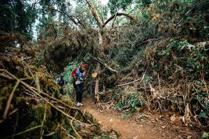 BIB: 
                            <button type="button" onclick="openModal(25481462)" class="btn btn-primary btn-sm float-right btn-popup" data-toggle="modal" data-target=".modal-high-quality">
                        <i class="fas fa-shopping-cart"></i> Add to Cart
                    </button>
                                            <button type="button" onclick="isThisMe(25481462, true)" class="btn btn-success btn-sm float-right btn-popup btn-isme hidden" data-toggle="tooltip" data-placement="bottom" title="นี่คือรูปของคุณใช่ไหม คลิกที่นี่เพื่อเอาเข้าอัลบั้ม">
                        <i class="fas fa-plus"></i> Add to album
                    </button>
                    <button type="button" onclick="isThisMe(25481462, false)" class="btn btn-warning btn-sm float-right btn-popup btn-isnotme hidden">
                        <i class="fas fa-ban"></i> Remove from album
                    </button>