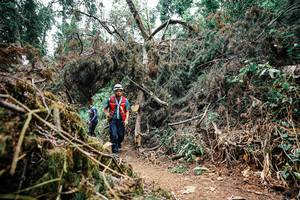 BIB: 
                            <button type="button" onclick="openModal(25464225)" class="btn btn-primary btn-sm float-right btn-popup" data-toggle="modal" data-target=".modal-high-quality">
                        <i class="fas fa-shopping-cart"></i> Add to Cart
                    </button>
                                            <button type="button" onclick="isThisMe(25464225, true)" class="btn btn-success btn-sm float-right btn-popup btn-isme hidden" data-toggle="tooltip" data-placement="bottom" title="นี่คือรูปของคุณใช่ไหม คลิกที่นี่เพื่อเอาเข้าอัลบั้ม">
                        <i class="fas fa-plus"></i> Add to album
                    </button>
                    <button type="button" onclick="isThisMe(25464225, false)" class="btn btn-warning btn-sm float-right btn-popup btn-isnotme hidden">
                        <i class="fas fa-ban"></i> Remove from album
                    </button>