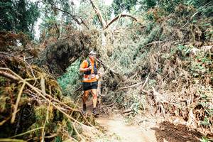 BIB: 
                            <button type="button" onclick="openModal(25541132)" class="btn btn-primary btn-sm float-right btn-popup" data-toggle="modal" data-target=".modal-high-quality">
                        <i class="fas fa-shopping-cart"></i> Add to Cart
                    </button>
                                            <button type="button" onclick="isThisMe(25541132, true)" class="btn btn-success btn-sm float-right btn-popup btn-isme hidden" data-toggle="tooltip" data-placement="bottom" title="นี่คือรูปของคุณใช่ไหม คลิกที่นี่เพื่อเอาเข้าอัลบั้ม">
                        <i class="fas fa-plus"></i> Add to album
                    </button>
                    <button type="button" onclick="isThisMe(25541132, false)" class="btn btn-warning btn-sm float-right btn-popup btn-isnotme hidden">
                        <i class="fas fa-ban"></i> Remove from album
                    </button>