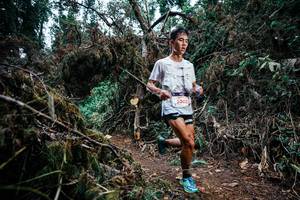 BIB: 
                            <button type="button" onclick="openModal(25450837)" class="btn btn-primary btn-sm float-right btn-popup" data-toggle="modal" data-target=".modal-high-quality">
                        <i class="fas fa-shopping-cart"></i> Add to Cart
                    </button>
                                            <button type="button" onclick="isThisMe(25450837, true)" class="btn btn-success btn-sm float-right btn-popup btn-isme hidden" data-toggle="tooltip" data-placement="bottom" title="นี่คือรูปของคุณใช่ไหม คลิกที่นี่เพื่อเอาเข้าอัลบั้ม">
                        <i class="fas fa-plus"></i> Add to album
                    </button>
                    <button type="button" onclick="isThisMe(25450837, false)" class="btn btn-warning btn-sm float-right btn-popup btn-isnotme hidden">
                        <i class="fas fa-ban"></i> Remove from album
                    </button>