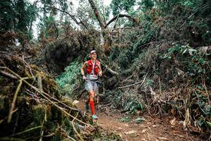 BIB: 
                            <button type="button" onclick="openModal(25456796)" class="btn btn-primary btn-sm float-right btn-popup" data-toggle="modal" data-target=".modal-high-quality">
                        <i class="fas fa-shopping-cart"></i> Add to Cart
                    </button>
                                            <button type="button" onclick="isThisMe(25456796, true)" class="btn btn-success btn-sm float-right btn-popup btn-isme hidden" data-toggle="tooltip" data-placement="bottom" title="นี่คือรูปของคุณใช่ไหม คลิกที่นี่เพื่อเอาเข้าอัลบั้ม">
                        <i class="fas fa-plus"></i> Add to album
                    </button>
                    <button type="button" onclick="isThisMe(25456796, false)" class="btn btn-warning btn-sm float-right btn-popup btn-isnotme hidden">
                        <i class="fas fa-ban"></i> Remove from album
                    </button>