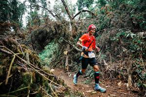 BIB: 
                            <button type="button" onclick="openModal(25455950)" class="btn btn-primary btn-sm float-right btn-popup" data-toggle="modal" data-target=".modal-high-quality">
                        <i class="fas fa-shopping-cart"></i> Add to Cart
                    </button>
                                            <button type="button" onclick="isThisMe(25455950, true)" class="btn btn-success btn-sm float-right btn-popup btn-isme hidden" data-toggle="tooltip" data-placement="bottom" title="นี่คือรูปของคุณใช่ไหม คลิกที่นี่เพื่อเอาเข้าอัลบั้ม">
                        <i class="fas fa-plus"></i> Add to album
                    </button>
                    <button type="button" onclick="isThisMe(25455950, false)" class="btn btn-warning btn-sm float-right btn-popup btn-isnotme hidden">
                        <i class="fas fa-ban"></i> Remove from album
                    </button>