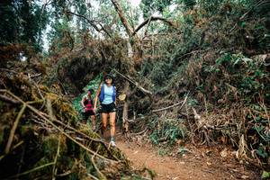 BIB: 
                            <button type="button" onclick="openModal(25478594)" class="btn btn-primary btn-sm float-right btn-popup" data-toggle="modal" data-target=".modal-high-quality">
                        <i class="fas fa-shopping-cart"></i> Add to Cart
                    </button>
                                            <button type="button" onclick="isThisMe(25478594, true)" class="btn btn-success btn-sm float-right btn-popup btn-isme hidden" data-toggle="tooltip" data-placement="bottom" title="นี่คือรูปของคุณใช่ไหม คลิกที่นี่เพื่อเอาเข้าอัลบั้ม">
                        <i class="fas fa-plus"></i> Add to album
                    </button>
                    <button type="button" onclick="isThisMe(25478594, false)" class="btn btn-warning btn-sm float-right btn-popup btn-isnotme hidden">
                        <i class="fas fa-ban"></i> Remove from album
                    </button>