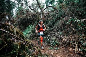 BIB: 
                            <button type="button" onclick="openModal(25451668)" class="btn btn-primary btn-sm float-right btn-popup" data-toggle="modal" data-target=".modal-high-quality">
                        <i class="fas fa-shopping-cart"></i> Add to Cart
                    </button>
                                            <button type="button" onclick="isThisMe(25451668, true)" class="btn btn-success btn-sm float-right btn-popup btn-isme hidden" data-toggle="tooltip" data-placement="bottom" title="นี่คือรูปของคุณใช่ไหม คลิกที่นี่เพื่อเอาเข้าอัลบั้ม">
                        <i class="fas fa-plus"></i> Add to album
                    </button>
                    <button type="button" onclick="isThisMe(25451668, false)" class="btn btn-warning btn-sm float-right btn-popup btn-isnotme hidden">
                        <i class="fas fa-ban"></i> Remove from album
                    </button>