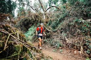 BIB: 
                            <button type="button" onclick="openModal(25549225)" class="btn btn-primary btn-sm float-right btn-popup" data-toggle="modal" data-target=".modal-high-quality">
                        <i class="fas fa-shopping-cart"></i> Add to Cart
                    </button>
                                            <button type="button" onclick="isThisMe(25549225, true)" class="btn btn-success btn-sm float-right btn-popup btn-isme hidden" data-toggle="tooltip" data-placement="bottom" title="นี่คือรูปของคุณใช่ไหม คลิกที่นี่เพื่อเอาเข้าอัลบั้ม">
                        <i class="fas fa-plus"></i> Add to album
                    </button>
                    <button type="button" onclick="isThisMe(25549225, false)" class="btn btn-warning btn-sm float-right btn-popup btn-isnotme hidden">
                        <i class="fas fa-ban"></i> Remove from album
                    </button>