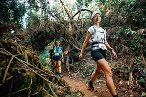 BIB: 
                            <button type="button" onclick="openModal(25480839)" class="btn btn-primary btn-sm float-right btn-popup" data-toggle="modal" data-target=".modal-high-quality">
                        <i class="fas fa-shopping-cart"></i> Add to Cart
                    </button>
                                            <button type="button" onclick="isThisMe(25480839, true)" class="btn btn-success btn-sm float-right btn-popup btn-isme hidden" data-toggle="tooltip" data-placement="bottom" title="นี่คือรูปของคุณใช่ไหม คลิกที่นี่เพื่อเอาเข้าอัลบั้ม">
                        <i class="fas fa-plus"></i> Add to album
                    </button>
                    <button type="button" onclick="isThisMe(25480839, false)" class="btn btn-warning btn-sm float-right btn-popup btn-isnotme hidden">
                        <i class="fas fa-ban"></i> Remove from album
                    </button>