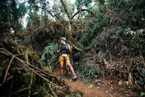 BIB: 
                            <button type="button" onclick="openModal(25476456)" class="btn btn-primary btn-sm float-right btn-popup" data-toggle="modal" data-target=".modal-high-quality">
                        <i class="fas fa-shopping-cart"></i> Add to Cart
                    </button>
                                            <button type="button" onclick="isThisMe(25476456, true)" class="btn btn-success btn-sm float-right btn-popup btn-isme hidden" data-toggle="tooltip" data-placement="bottom" title="นี่คือรูปของคุณใช่ไหม คลิกที่นี่เพื่อเอาเข้าอัลบั้ม">
                        <i class="fas fa-plus"></i> Add to album
                    </button>
                    <button type="button" onclick="isThisMe(25476456, false)" class="btn btn-warning btn-sm float-right btn-popup btn-isnotme hidden">
                        <i class="fas fa-ban"></i> Remove from album
                    </button>