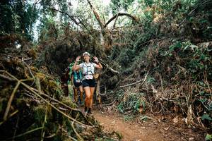 BIB: 
                            <button type="button" onclick="openModal(25480801)" class="btn btn-primary btn-sm float-right btn-popup" data-toggle="modal" data-target=".modal-high-quality">
                        <i class="fas fa-shopping-cart"></i> Add to Cart
                    </button>
                                            <button type="button" onclick="isThisMe(25480801, true)" class="btn btn-success btn-sm float-right btn-popup btn-isme hidden" data-toggle="tooltip" data-placement="bottom" title="นี่คือรูปของคุณใช่ไหม คลิกที่นี่เพื่อเอาเข้าอัลบั้ม">
                        <i class="fas fa-plus"></i> Add to album
                    </button>
                    <button type="button" onclick="isThisMe(25480801, false)" class="btn btn-warning btn-sm float-right btn-popup btn-isnotme hidden">
                        <i class="fas fa-ban"></i> Remove from album
                    </button>