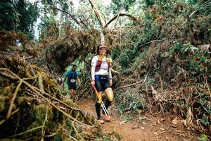 BIB: 
                            <button type="button" onclick="openModal(25474886)" class="btn btn-primary btn-sm float-right btn-popup" data-toggle="modal" data-target=".modal-high-quality">
                        <i class="fas fa-shopping-cart"></i> Add to Cart
                    </button>
                                            <button type="button" onclick="isThisMe(25474886, true)" class="btn btn-success btn-sm float-right btn-popup btn-isme hidden" data-toggle="tooltip" data-placement="bottom" title="นี่คือรูปของคุณใช่ไหม คลิกที่นี่เพื่อเอาเข้าอัลบั้ม">
                        <i class="fas fa-plus"></i> Add to album
                    </button>
                    <button type="button" onclick="isThisMe(25474886, false)" class="btn btn-warning btn-sm float-right btn-popup btn-isnotme hidden">
                        <i class="fas fa-ban"></i> Remove from album
                    </button>