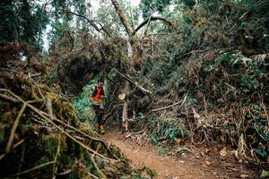 BIB: 
                            <button type="button" onclick="openModal(25477840)" class="btn btn-primary btn-sm float-right btn-popup" data-toggle="modal" data-target=".modal-high-quality">
                        <i class="fas fa-shopping-cart"></i> Add to Cart
                    </button>
                                            <button type="button" onclick="isThisMe(25477840, true)" class="btn btn-success btn-sm float-right btn-popup btn-isme hidden" data-toggle="tooltip" data-placement="bottom" title="นี่คือรูปของคุณใช่ไหม คลิกที่นี่เพื่อเอาเข้าอัลบั้ม">
                        <i class="fas fa-plus"></i> Add to album
                    </button>
                    <button type="button" onclick="isThisMe(25477840, false)" class="btn btn-warning btn-sm float-right btn-popup btn-isnotme hidden">
                        <i class="fas fa-ban"></i> Remove from album
                    </button>