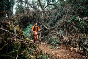 BIB: 
                            <button type="button" onclick="openModal(25451191)" class="btn btn-primary btn-sm float-right btn-popup" data-toggle="modal" data-target=".modal-high-quality">
                        <i class="fas fa-shopping-cart"></i> Add to Cart
                    </button>
                                            <button type="button" onclick="isThisMe(25451191, true)" class="btn btn-success btn-sm float-right btn-popup btn-isme hidden" data-toggle="tooltip" data-placement="bottom" title="นี่คือรูปของคุณใช่ไหม คลิกที่นี่เพื่อเอาเข้าอัลบั้ม">
                        <i class="fas fa-plus"></i> Add to album
                    </button>
                    <button type="button" onclick="isThisMe(25451191, false)" class="btn btn-warning btn-sm float-right btn-popup btn-isnotme hidden">
                        <i class="fas fa-ban"></i> Remove from album
                    </button>