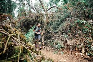 BIB: 
                            <button type="button" onclick="openModal(25525024)" class="btn btn-primary btn-sm float-right btn-popup" data-toggle="modal" data-target=".modal-high-quality">
                        <i class="fas fa-shopping-cart"></i> Add to Cart
                    </button>
                                            <button type="button" onclick="isThisMe(25525024, true)" class="btn btn-success btn-sm float-right btn-popup btn-isme hidden" data-toggle="tooltip" data-placement="bottom" title="นี่คือรูปของคุณใช่ไหม คลิกที่นี่เพื่อเอาเข้าอัลบั้ม">
                        <i class="fas fa-plus"></i> Add to album
                    </button>
                    <button type="button" onclick="isThisMe(25525024, false)" class="btn btn-warning btn-sm float-right btn-popup btn-isnotme hidden">
                        <i class="fas fa-ban"></i> Remove from album
                    </button>