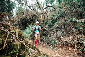 BIB: 
                            <button type="button" onclick="openModal(25524609)" class="btn btn-primary btn-sm float-right btn-popup" data-toggle="modal" data-target=".modal-high-quality">
                        <i class="fas fa-shopping-cart"></i> Add to Cart
                    </button>
                                            <button type="button" onclick="isThisMe(25524609, true)" class="btn btn-success btn-sm float-right btn-popup btn-isme hidden" data-toggle="tooltip" data-placement="bottom" title="นี่คือรูปของคุณใช่ไหม คลิกที่นี่เพื่อเอาเข้าอัลบั้ม">
                        <i class="fas fa-plus"></i> Add to album
                    </button>
                    <button type="button" onclick="isThisMe(25524609, false)" class="btn btn-warning btn-sm float-right btn-popup btn-isnotme hidden">
                        <i class="fas fa-ban"></i> Remove from album
                    </button>