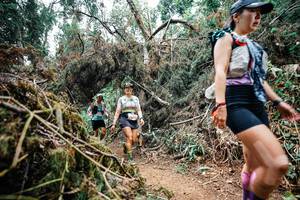 BIB: 
                            <button type="button" onclick="openModal(25546568)" class="btn btn-primary btn-sm float-right btn-popup" data-toggle="modal" data-target=".modal-high-quality">
                        <i class="fas fa-shopping-cart"></i> Add to Cart
                    </button>
                                            <button type="button" onclick="isThisMe(25546568, true)" class="btn btn-success btn-sm float-right btn-popup btn-isme hidden" data-toggle="tooltip" data-placement="bottom" title="นี่คือรูปของคุณใช่ไหม คลิกที่นี่เพื่อเอาเข้าอัลบั้ม">
                        <i class="fas fa-plus"></i> Add to album
                    </button>
                    <button type="button" onclick="isThisMe(25546568, false)" class="btn btn-warning btn-sm float-right btn-popup btn-isnotme hidden">
                        <i class="fas fa-ban"></i> Remove from album
                    </button>