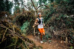 BIB: 
                            <button type="button" onclick="openModal(25475740)" class="btn btn-primary btn-sm float-right btn-popup" data-toggle="modal" data-target=".modal-high-quality">
                        <i class="fas fa-shopping-cart"></i> Add to Cart
                    </button>
                                            <button type="button" onclick="isThisMe(25475740, true)" class="btn btn-success btn-sm float-right btn-popup btn-isme hidden" data-toggle="tooltip" data-placement="bottom" title="นี่คือรูปของคุณใช่ไหม คลิกที่นี่เพื่อเอาเข้าอัลบั้ม">
                        <i class="fas fa-plus"></i> Add to album
                    </button>
                    <button type="button" onclick="isThisMe(25475740, false)" class="btn btn-warning btn-sm float-right btn-popup btn-isnotme hidden">
                        <i class="fas fa-ban"></i> Remove from album
                    </button>