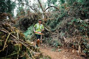 BIB: 
                            <button type="button" onclick="openModal(25527493)" class="btn btn-primary btn-sm float-right btn-popup" data-toggle="modal" data-target=".modal-high-quality">
                        <i class="fas fa-shopping-cart"></i> Add to Cart
                    </button>
                                            <button type="button" onclick="isThisMe(25527493, true)" class="btn btn-success btn-sm float-right btn-popup btn-isme hidden" data-toggle="tooltip" data-placement="bottom" title="นี่คือรูปของคุณใช่ไหม คลิกที่นี่เพื่อเอาเข้าอัลบั้ม">
                        <i class="fas fa-plus"></i> Add to album
                    </button>
                    <button type="button" onclick="isThisMe(25527493, false)" class="btn btn-warning btn-sm float-right btn-popup btn-isnotme hidden">
                        <i class="fas fa-ban"></i> Remove from album
                    </button>