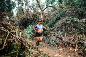 BIB: 
                            <button type="button" onclick="openModal(25524277)" class="btn btn-primary btn-sm float-right btn-popup" data-toggle="modal" data-target=".modal-high-quality">
                        <i class="fas fa-shopping-cart"></i> Add to Cart
                    </button>
                                            <button type="button" onclick="isThisMe(25524277, true)" class="btn btn-success btn-sm float-right btn-popup btn-isme hidden" data-toggle="tooltip" data-placement="bottom" title="นี่คือรูปของคุณใช่ไหม คลิกที่นี่เพื่อเอาเข้าอัลบั้ม">
                        <i class="fas fa-plus"></i> Add to album
                    </button>
                    <button type="button" onclick="isThisMe(25524277, false)" class="btn btn-warning btn-sm float-right btn-popup btn-isnotme hidden">
                        <i class="fas fa-ban"></i> Remove from album
                    </button>