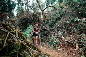 BIB: 
                            <button type="button" onclick="openModal(25471268)" class="btn btn-primary btn-sm float-right btn-popup" data-toggle="modal" data-target=".modal-high-quality">
                        <i class="fas fa-shopping-cart"></i> Add to Cart
                    </button>
                                            <button type="button" onclick="isThisMe(25471268, true)" class="btn btn-success btn-sm float-right btn-popup btn-isme hidden" data-toggle="tooltip" data-placement="bottom" title="นี่คือรูปของคุณใช่ไหม คลิกที่นี่เพื่อเอาเข้าอัลบั้ม">
                        <i class="fas fa-plus"></i> Add to album
                    </button>
                    <button type="button" onclick="isThisMe(25471268, false)" class="btn btn-warning btn-sm float-right btn-popup btn-isnotme hidden">
                        <i class="fas fa-ban"></i> Remove from album
                    </button>