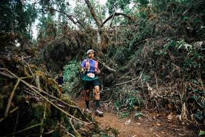 BIB: 
                            <button type="button" onclick="openModal(25476423)" class="btn btn-primary btn-sm float-right btn-popup" data-toggle="modal" data-target=".modal-high-quality">
                        <i class="fas fa-shopping-cart"></i> Add to Cart
                    </button>
                                            <button type="button" onclick="isThisMe(25476423, true)" class="btn btn-success btn-sm float-right btn-popup btn-isme hidden" data-toggle="tooltip" data-placement="bottom" title="นี่คือรูปของคุณใช่ไหม คลิกที่นี่เพื่อเอาเข้าอัลบั้ม">
                        <i class="fas fa-plus"></i> Add to album
                    </button>
                    <button type="button" onclick="isThisMe(25476423, false)" class="btn btn-warning btn-sm float-right btn-popup btn-isnotme hidden">
                        <i class="fas fa-ban"></i> Remove from album
                    </button>