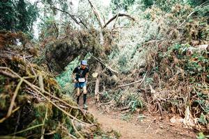 BIB: 
                            <button type="button" onclick="openModal(25553119)" class="btn btn-primary btn-sm float-right btn-popup" data-toggle="modal" data-target=".modal-high-quality">
                        <i class="fas fa-shopping-cart"></i> Add to Cart
                    </button>
                                            <button type="button" onclick="isThisMe(25553119, true)" class="btn btn-success btn-sm float-right btn-popup btn-isme hidden" data-toggle="tooltip" data-placement="bottom" title="นี่คือรูปของคุณใช่ไหม คลิกที่นี่เพื่อเอาเข้าอัลบั้ม">
                        <i class="fas fa-plus"></i> Add to album
                    </button>
                    <button type="button" onclick="isThisMe(25553119, false)" class="btn btn-warning btn-sm float-right btn-popup btn-isnotme hidden">
                        <i class="fas fa-ban"></i> Remove from album
                    </button>