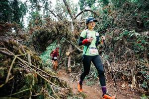 BIB: 
                            <button type="button" onclick="openModal(25470582)" class="btn btn-primary btn-sm float-right btn-popup" data-toggle="modal" data-target=".modal-high-quality">
                        <i class="fas fa-shopping-cart"></i> Add to Cart
                    </button>
                                            <button type="button" onclick="isThisMe(25470582, true)" class="btn btn-success btn-sm float-right btn-popup btn-isme hidden" data-toggle="tooltip" data-placement="bottom" title="นี่คือรูปของคุณใช่ไหม คลิกที่นี่เพื่อเอาเข้าอัลบั้ม">
                        <i class="fas fa-plus"></i> Add to album
                    </button>
                    <button type="button" onclick="isThisMe(25470582, false)" class="btn btn-warning btn-sm float-right btn-popup btn-isnotme hidden">
                        <i class="fas fa-ban"></i> Remove from album
                    </button>